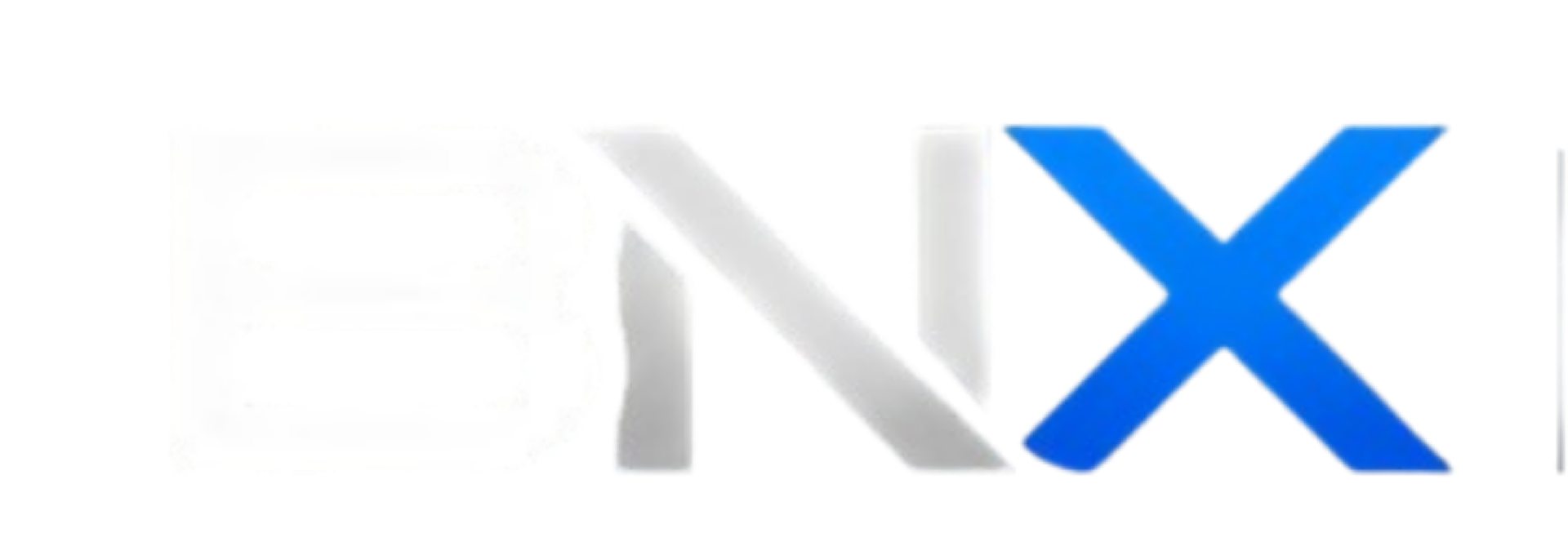 BNX Logo